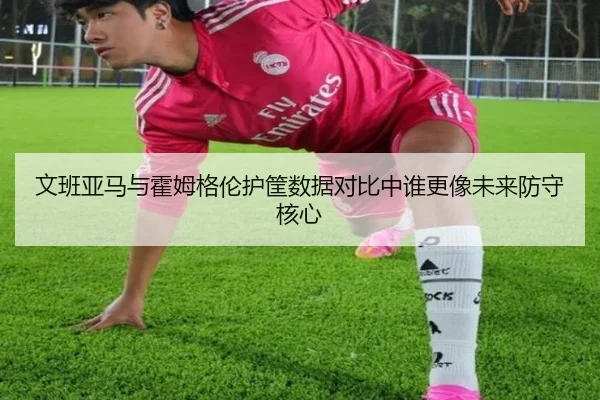 文班亚马与霍姆格伦护筐数据对比中谁更像未来防守核心